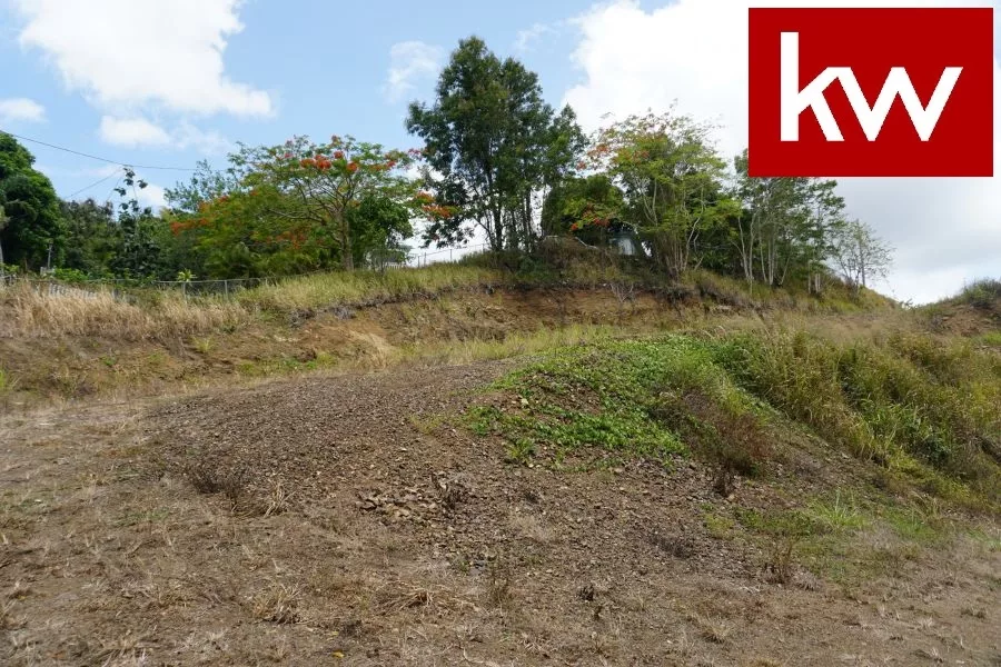 Urb. Colinas View, Terreno en Cayey