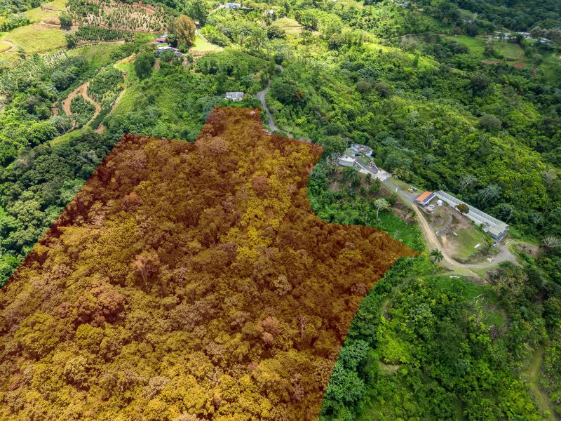 Bo. Espino, Finca en Lares venta en Lares, PR