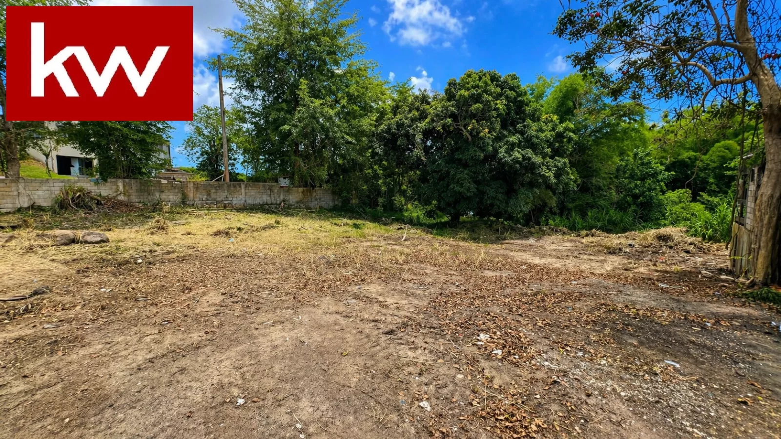 Bo. Lirios, Terreno en Juncos