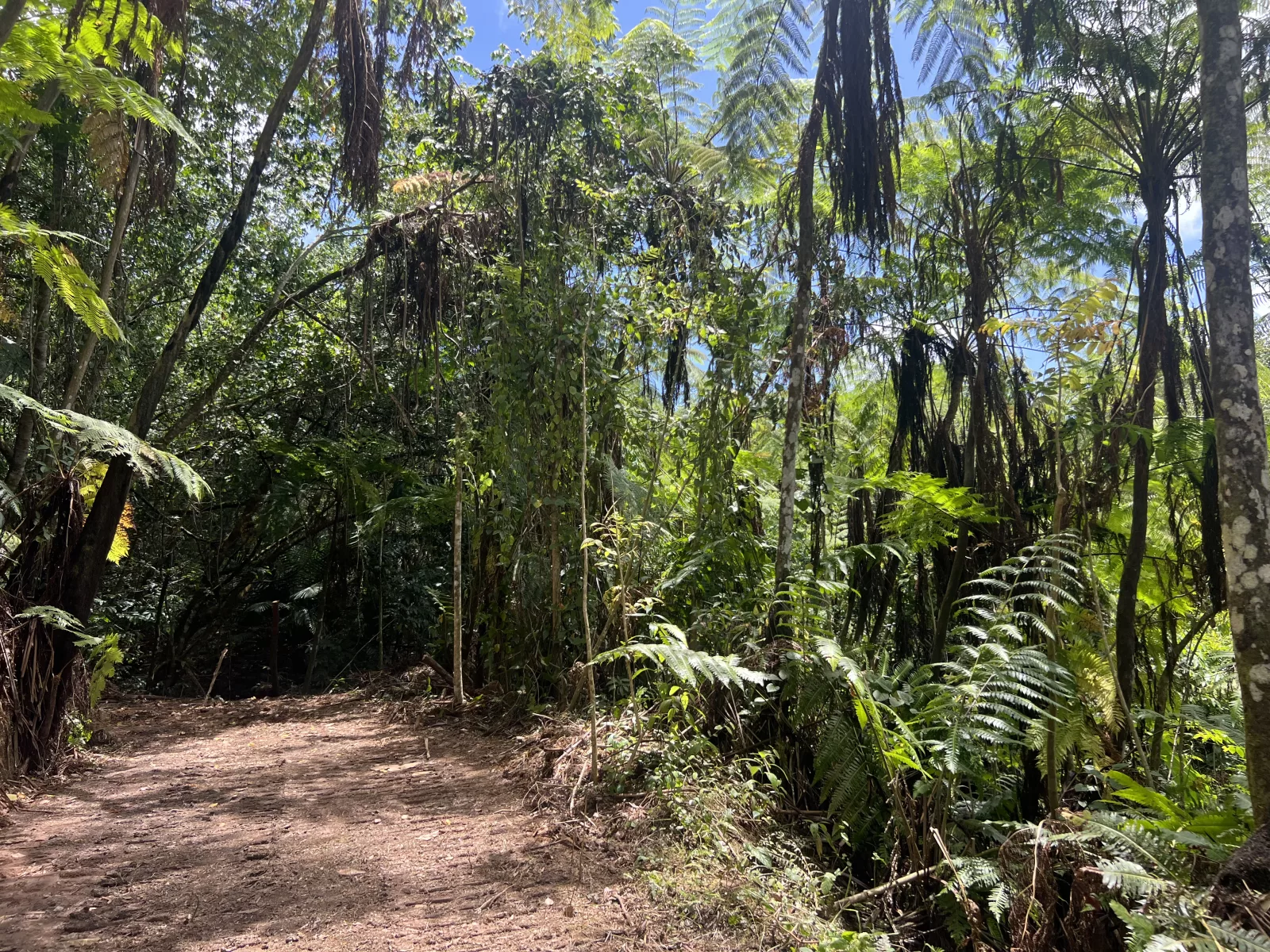 Foto 15
