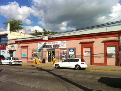 Foto 5