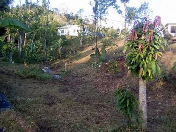 Bo. Cedros Sec. Villa Vagancia venta en Carolina, PR