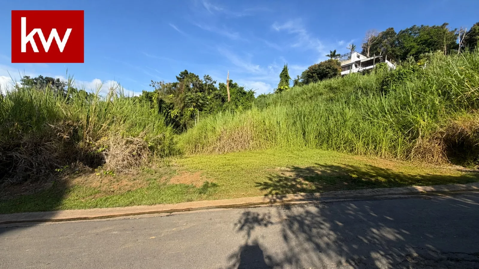 Bo. Sonadora, Terreno en Guaynabo