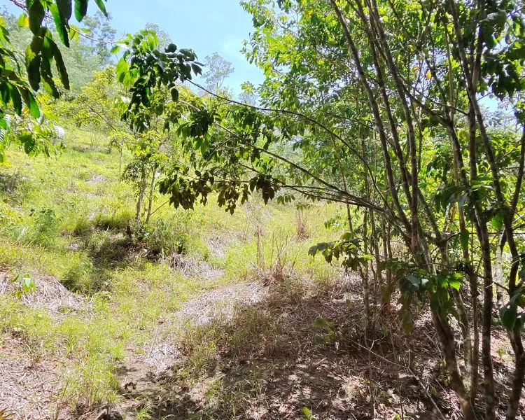 Foto 14