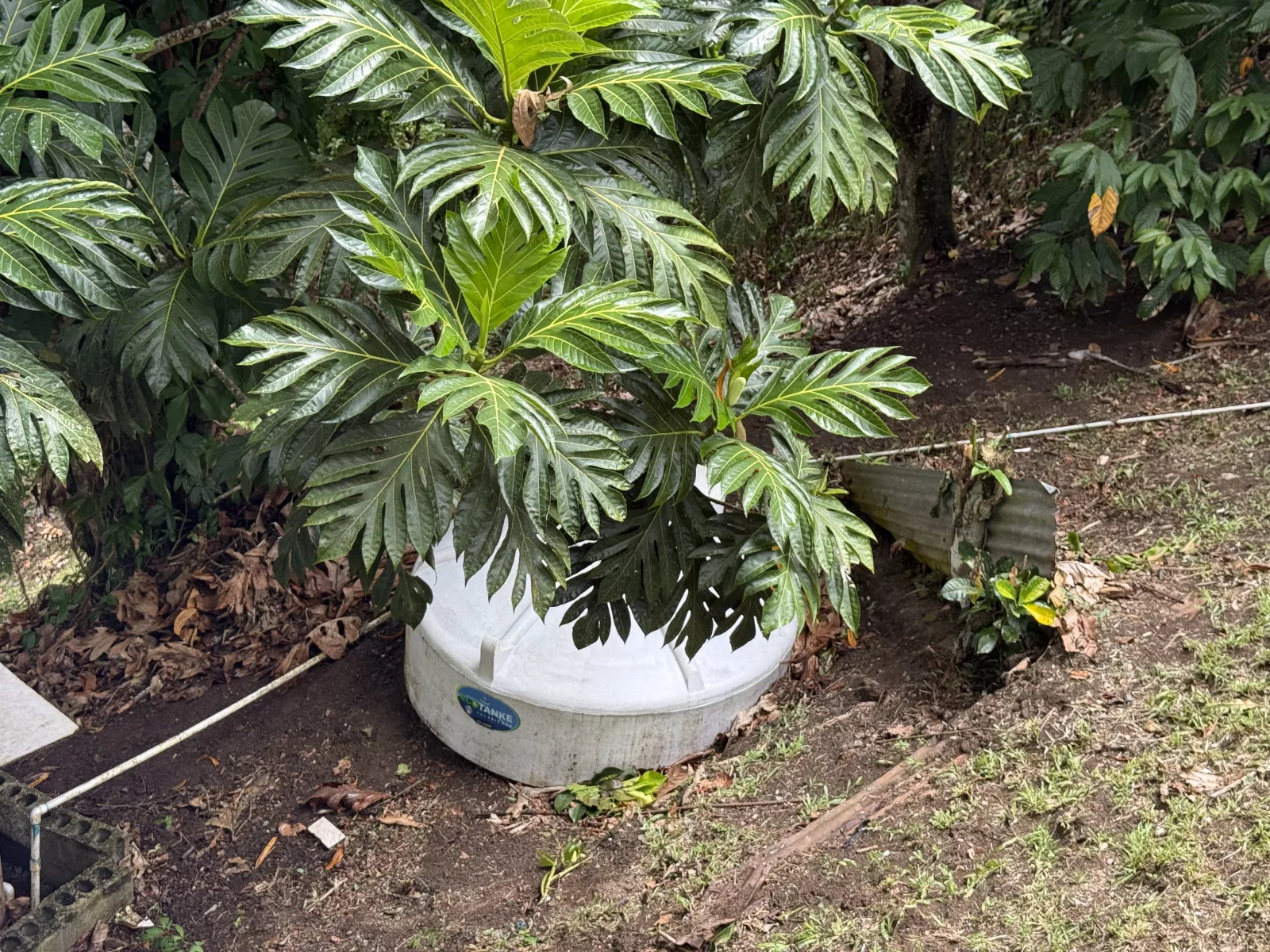 Foto 14