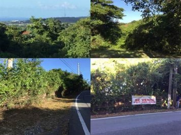 Monte Santo Terreno