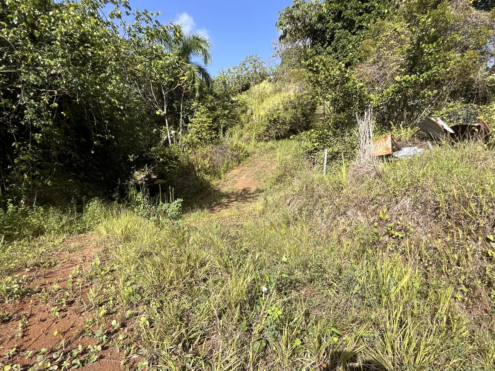 Terreno en Bo. Perchas, morovis - foto 4