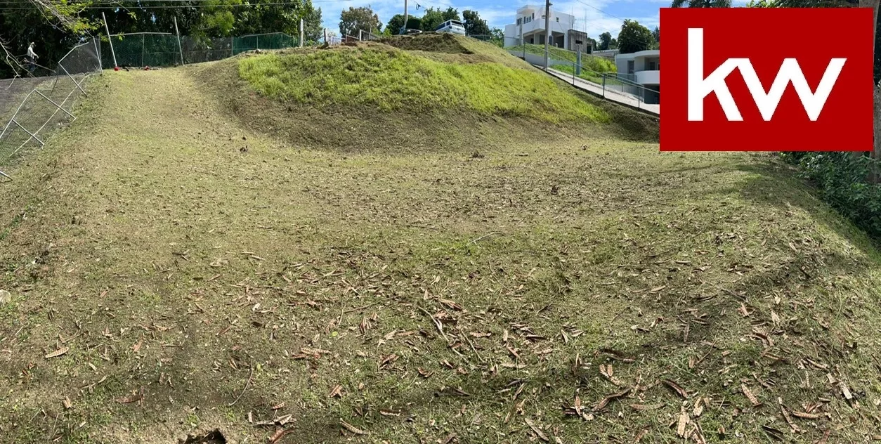 Bo. Buena Vista, Terreno en Bayamón
