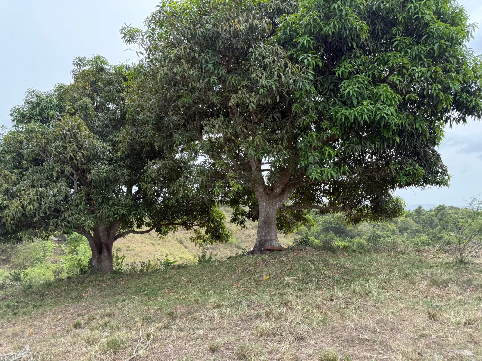 Foto 14