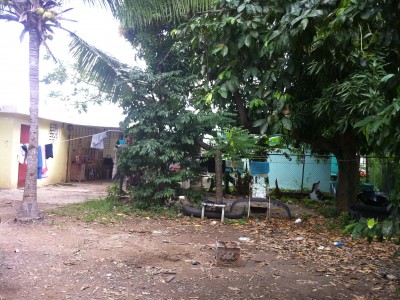 Ave. Principal Villa Flores venta en Ponce, PR