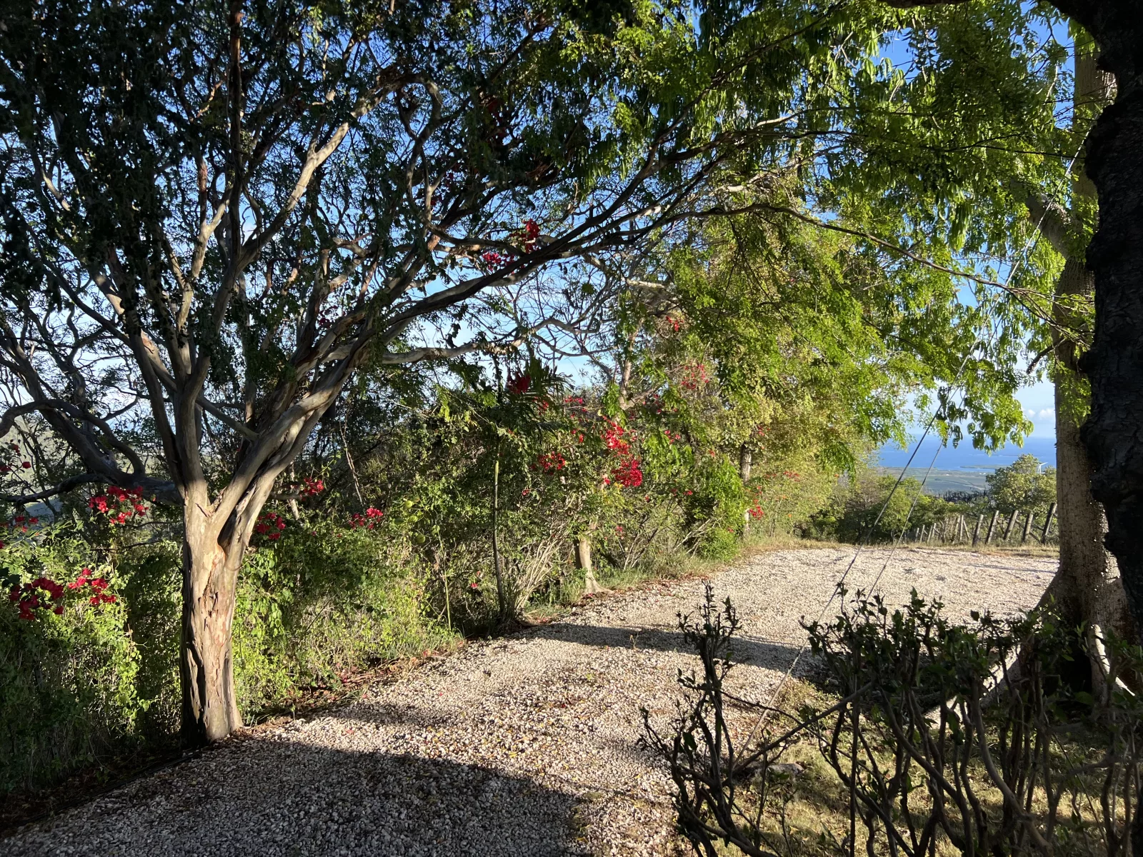 Foto 15