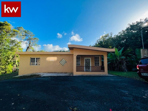 Bo Dona Elena, Casa En Comerio
