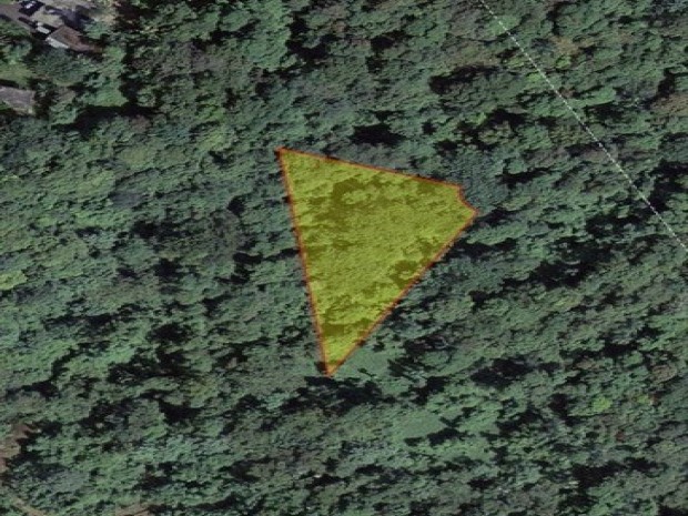 Bo. Mameyes & Zarzal