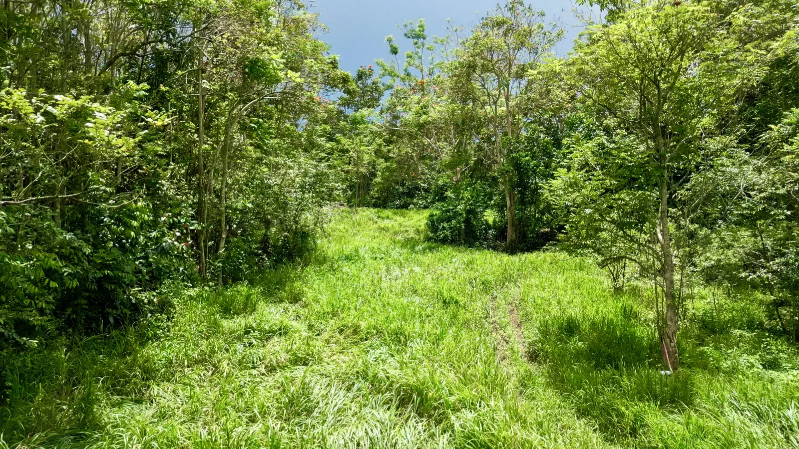 Foto 10
