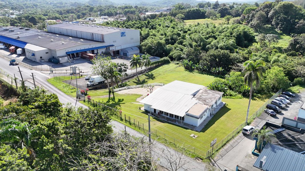 Bo. Jagüeyes, Propiedad Comercial en Caguas