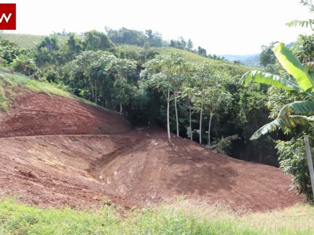 Palo Hincado