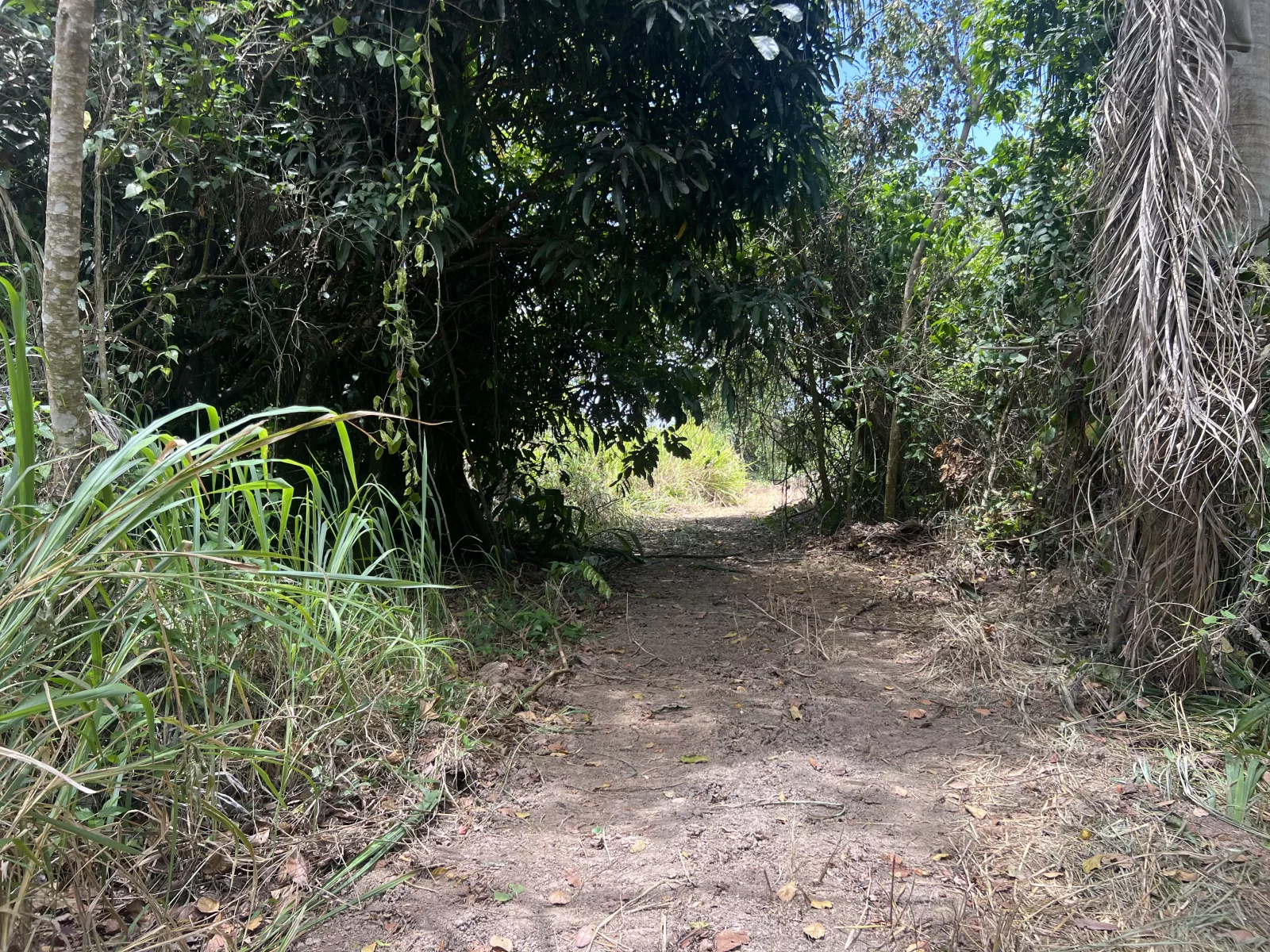 Foto 5