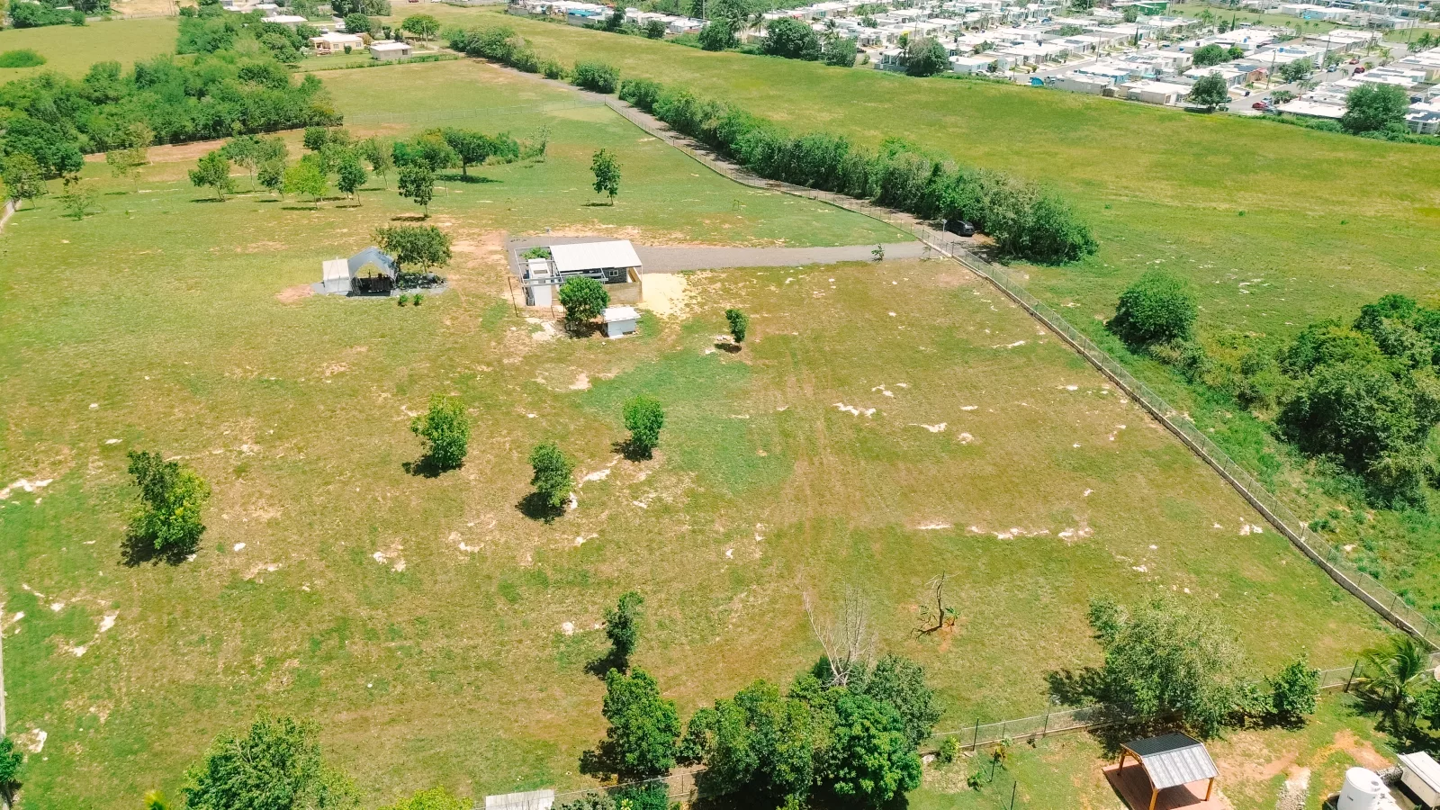 Foto 10