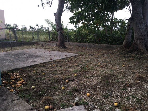 San Vicente venta en Vega Baja, PR