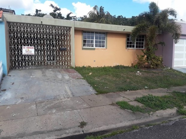 Rex Manor L-6 Calle 1