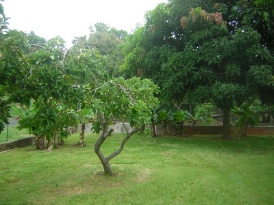 Joyuda, Carr. 102 Km.17.2 venta en Cabo Rojo, PR