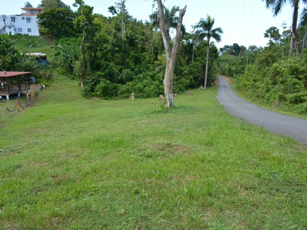 Bo. Rio Lajas Sect. Cuchillas venta en Toa Alta, PR