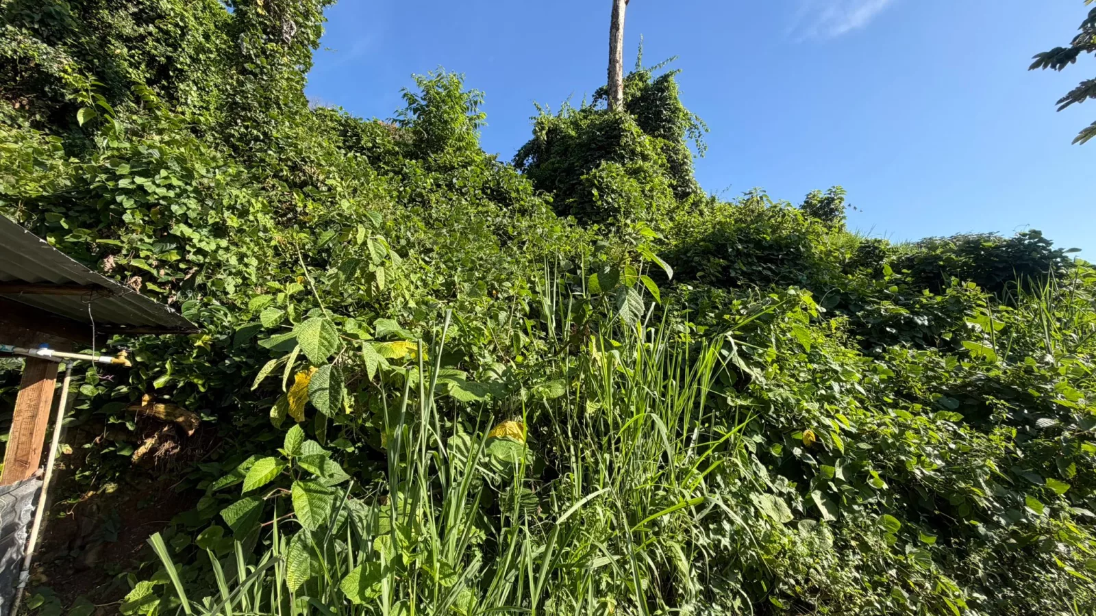 Foto 15