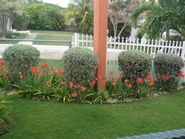 Foto 5