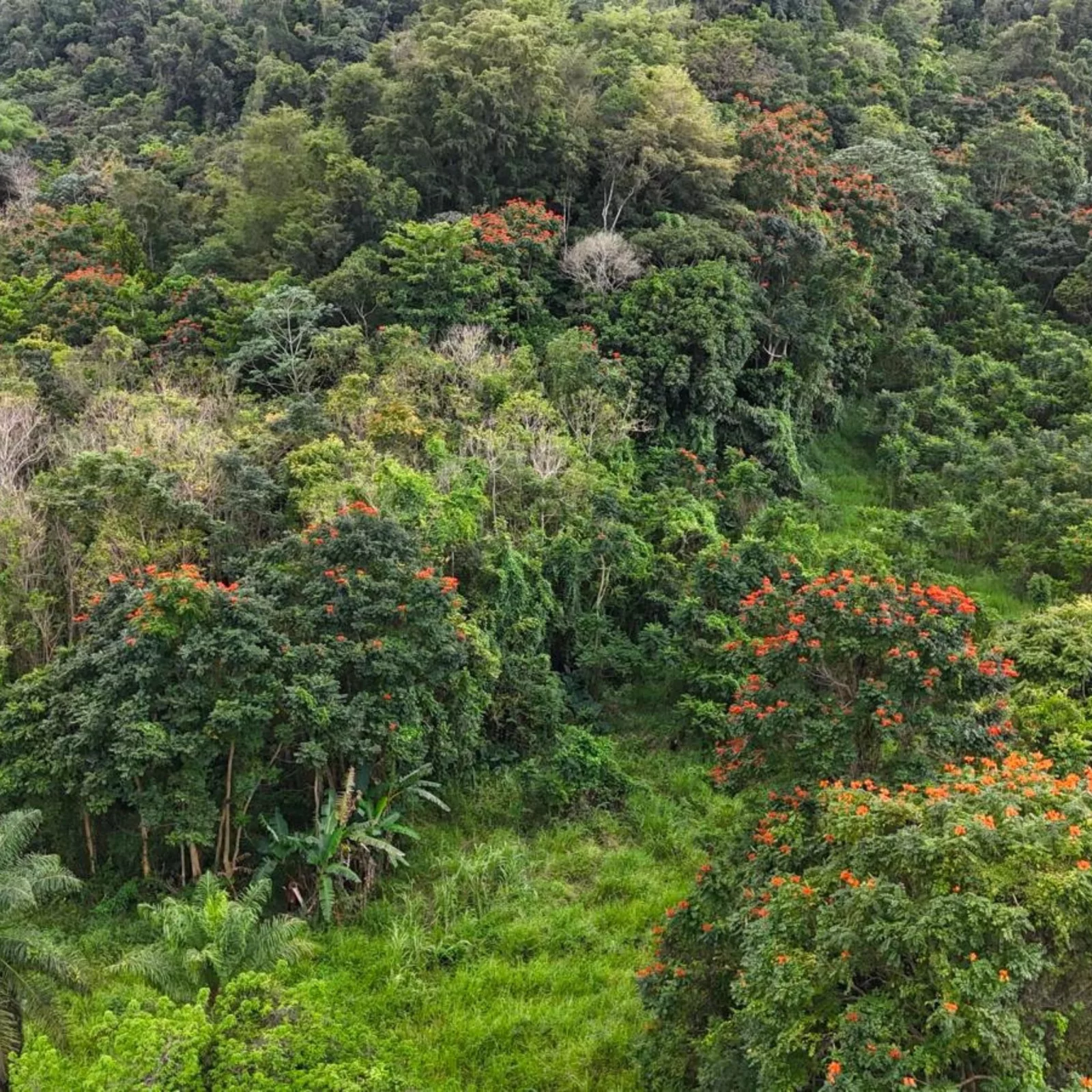 Bo. Río Arriba Poniente