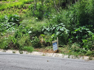 casas en venta o alquiler en Juana Díaz