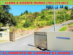 casas en venta o alquiler en Yauco