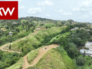 casas en venta o alquiler en Barranquitas