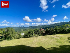 casas en venta o alquiler en Caguas
