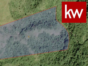 casas en venta o alquiler en Cayey