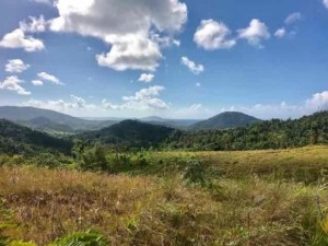 casas en venta o alquiler en Naguabo