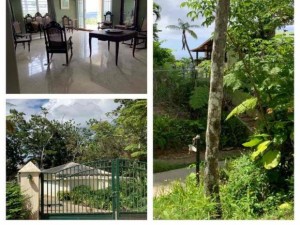 casas en venta o alquiler en Aguas Buenas