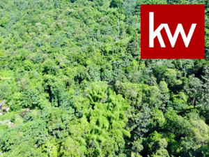 casas en venta o alquiler en Utuado