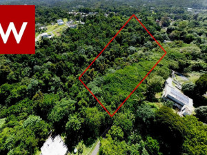 casas en venta o alquiler en Lares