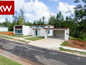 casas en venta o alquiler en Cidra