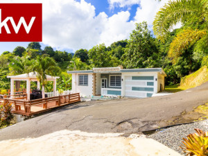 casas en venta o alquiler en Maunabo