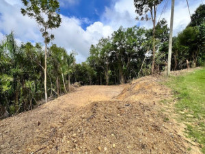 casas en venta o alquiler en Isabela