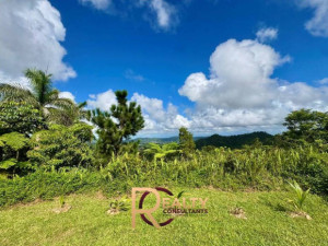 casas en venta o alquiler en Caguas