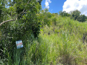 casas en venta o alquiler en Cayey