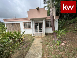 casas en venta o alquiler en Toa Alta