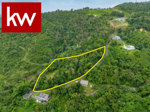 casas en venta o alquiler en Caguas
