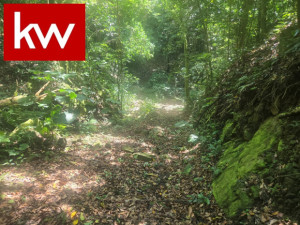 casas en venta o alquiler en Ponce