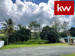 casas en venta o alquiler en Mayagüez