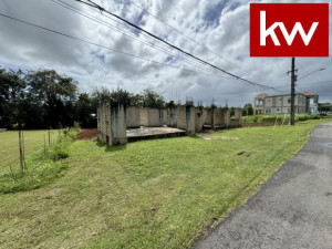 casas en venta o alquiler en Arecibo