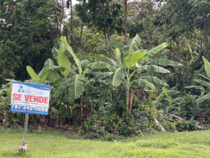 casas en venta o alquiler en Aguada