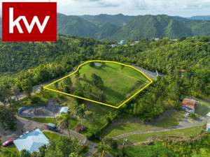 casas en venta o alquiler en Cayey